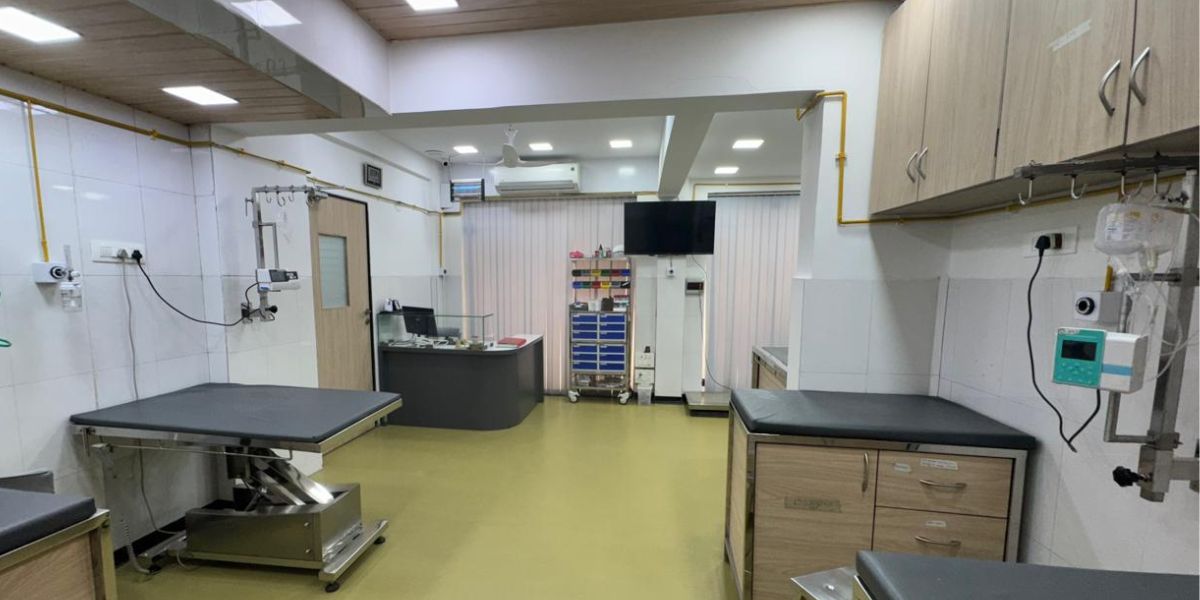 Fluid therapy area
